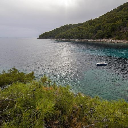Secluded Fisherman'S Cottage Cove Skozanje, Hvar - 4009 Gdinj Bagian luar foto